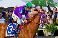 California Chrome, Victor Espinoza up, wins the 139th Preakness Stakes at Pimlico Race Course in Baltimore, Maryland.