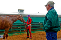 California Chrome trainer Art Sherman looks on as Willie Delgado soothes him during a bath at Pimlico Race Course in Baltimore, Maryland.