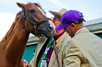 Steve Coburn, part owner, kisses California Chrome, after winning the 139th Preakness Stakes at Pimlico Race Course in Baltimore, Maryland.