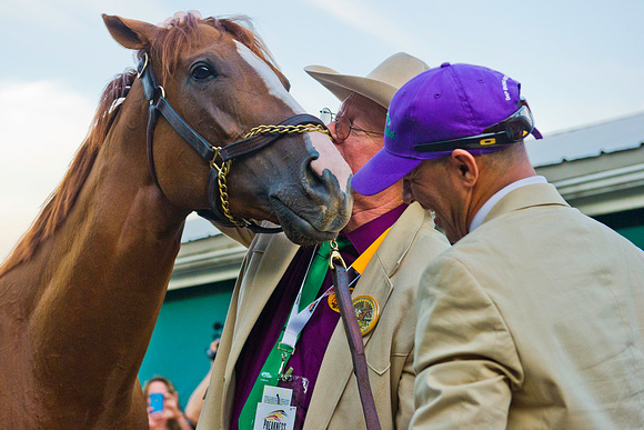 Steve Coburn, part owner, kisses California Chrome, after winning the 139th Preakness Stakes at Pimlico Race Course in Baltimore, Maryland.