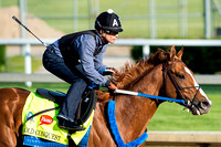 Bold Conquest worked five furlongs Monday in 1:01.80 under exercise riderAbel Flores in preparation for the Kentucky Derby.