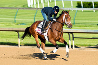 Angela Renee, with exercise rider Adele Bellenger, galloped a mile and one half in preparation for the Kentucky Oaks.