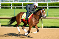 Danzig Moon galloped a mile and half under exercise rider William Cano in preparation for the Kentucky Derby.