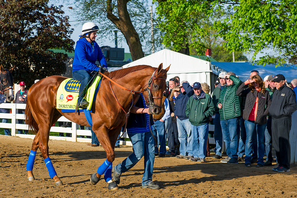 Dortmund, winner of the Santa Anita Derby in his last start and undefeated, prepares for the Kentucky Derby at Churchill Downs in Louisville, Kentucky.