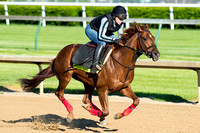 Far Right galloped a mile and a half with exercise rider Laura Moquett in preparation for the Kentucky Derby.