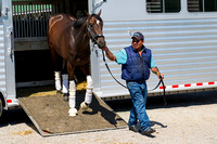 International Star, Louisiana Derby (GII) winner and Road to the Kentucky Derby points leader arrived at Churchill Downs on Monday.