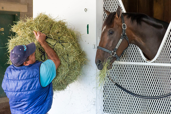 International Star, Louisiana Derby (GII) winner and Road to the Kentucky Derby points leader arrived at Churchill Downs on Monday.