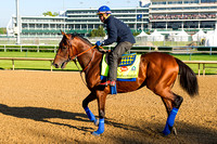 Zayat Stables’ American Pharoah, jogged at Churchill Downs in preparation for the Kentucky Derby.
