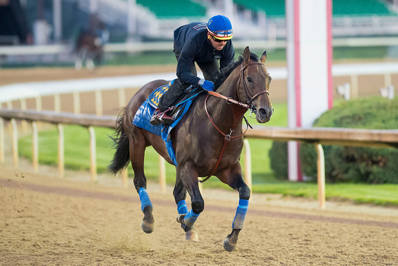 Breeders' Cup Classic winner Bayern prepares for a start in the Churchill Downs Handicap.