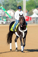 Bolo galloped a mile and a half with exercise rider Tony Rubalcaba up in preparation for the Kentucky Derby.