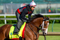 Danzig Moon galloped one and one half miles with exercise rider William Cano aboard in preparation for the Kentucky Derby.
