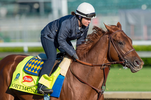 Santa Anita Derby (GI) winner Dortmund galloped one and a half miles in preparation for the Kentucky Derby.