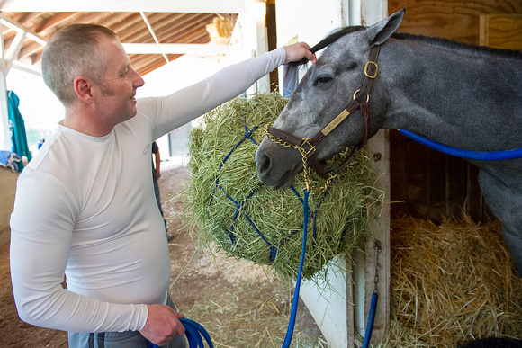 Jerome Stakes (GIII) and Gotham Stakes (GIII) winner El Kabeir gets soothed by exercise rider Simon Harris in preparation for the Kentucky Derby.