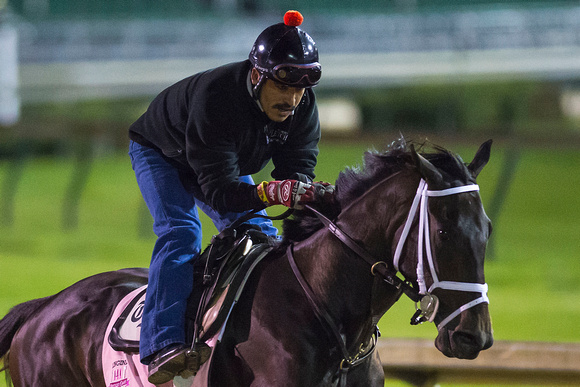 Eskenformoney galloped a mile and a half with exercise rider Carlos Cano in preparation for the Kentucky Oaks.