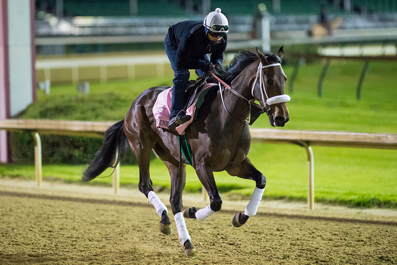 Forever Unbridled had a mile and three eighths gallop under exercise rider Emerson Chavez in preparation for the Kentucky Oaks.