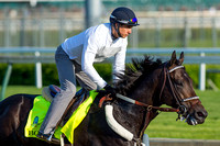 Bolo galloped a mile  and three-eighths under exercise rider Tony Rubalcaba in preparation for the Kentucky Derby.