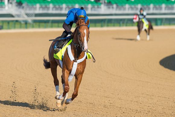 On the "also-eligible" list, Frammento galloped 1 and 1/2 miles under exercise rider Juan Bernardin in preparation for a possible start in the Kentucky Derby.