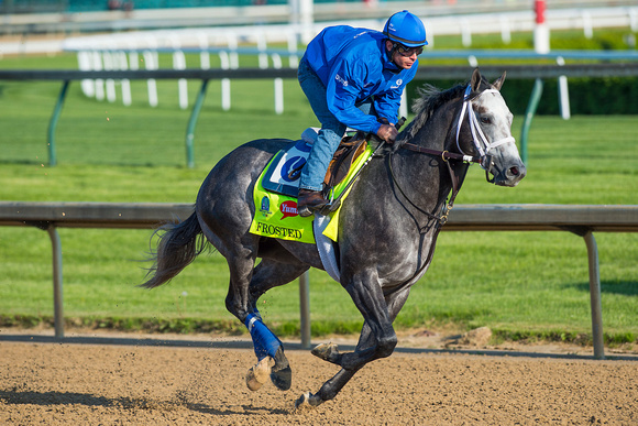 Wood Memorial (GI) winner Frosted galloped 1 and 3/8 miles under exercise rider Rob Massey, in preparation for the Kentucky Derby.