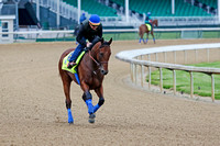 American Pharoah galloped 1 and 1/2 miles in preparation for the Kentucky Derby.
