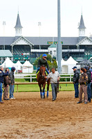 American Pharoah returns from his 1 and 1/2 mile gallop in preparation for the Kentucky Derby.