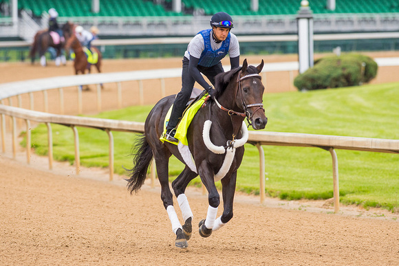 Bolo galloped a mile and three eighths under exercise rider Tony Rubalcava in preparation for the Kentucky Derby.