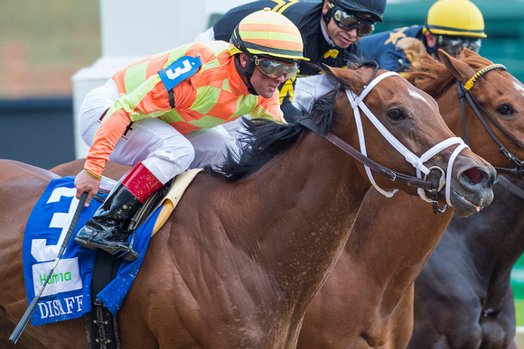 Dame Dorothy, Javier Castellano in the irons, wins the Humana Distaff (GI) at Churchill Downs in Louisville, Kentucky.