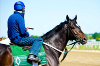 Matusak looks around before morning exercises in preparation for the 146th Belmont Stakes at Belmont Park in New York.