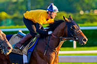 Tonalist puts in his final breeze over the Belmont Park race track in preparation for the  146th Belmont Stakes at Belmont Park in New York.