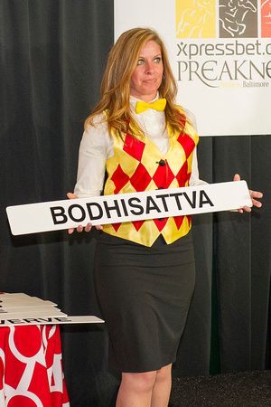 Bodhisattva is the first horse selected for a gate position during the Preakness Post Draw at Pimlico Race Course in Baltimore, Maryland.