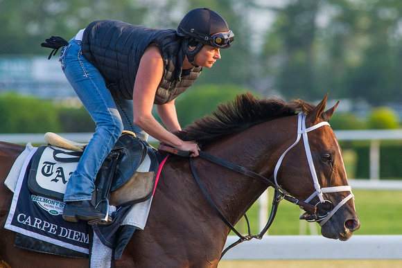 Tampa Bay Derby (GII) and Blue Grass Stakes (GI) winner Carpe Diem gallops in preparation for the Belmont Stakes in Elmont, New York.