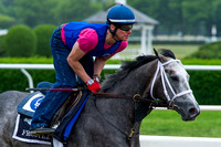 Wood Memorial (GI) victor Frosted, gallops in preparation for the Belmont Stakes (GI) at Belmont Park in Elmont, New York.