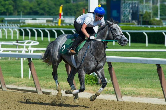 Filimbi, with exercise rider Stephanie Vickers up, and trained by Bill Mott, puts in her final breeze in preparation for a probable start in the Longines Just A Game Stakes (GI) at Belmont Park in Elm