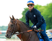Breeders' Cup (GI) winner and entrant in the Metropolitan Handicap, Bayern went jogging and backtracking on his first trip to the main track at Belmont Park in Elmont, New York.
