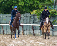 Breeders' Cup (GI) winner and entrant in the Metropolitan Handicap, Bayern went jogging and backtracking on his first trip to the main track at Belmont Park in Elmont, New York.