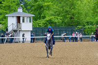 Frosted gallops in preparation for the Belmont Stakes (GI) at Belmont Park in Elmont, New York.