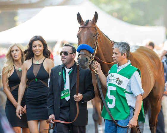 American Pharoah in the paddock before winning the 147th Belmont Stakes (GI) and becoming the 12th Triple Crown winner at Belmont Park in Elmont, New York.