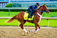 Tapiture gallops around the Churchill Downs oval in preparation for the 140th Kentucky Derby.