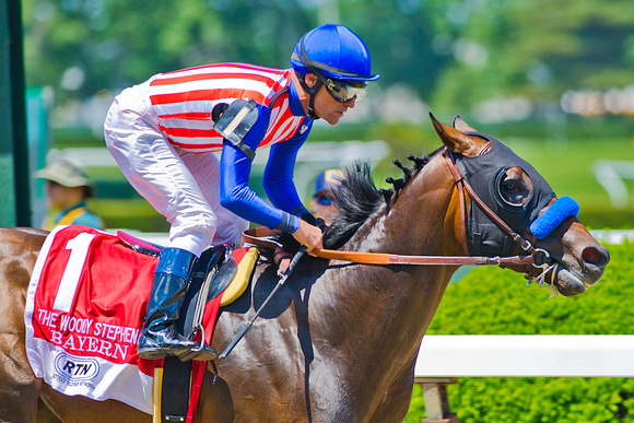 Bayern, Gary Stevens up, wins the Woody Stephens stakes at Belmont Park in New York.