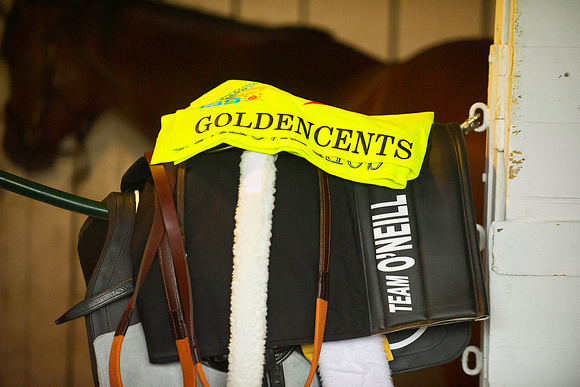 Goldencents' saddlecloth
