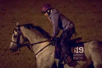 Holy Lute galloped on the main track at Keeneland Race Course in preparation for the Breeders' Cup Turf Sprint (GI).