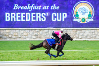 14 Hands Winery Breeders' Cup Juvenile Filles contender Nemoralia worked a half mile in :51.60 with Kerri Radcliffe aboard.