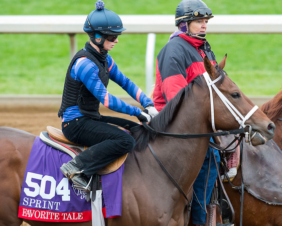 Favorite Tale, trained by Guadalupe Preciado, prepares for the Breeders' Cup Twin Spires Sprint (GI).