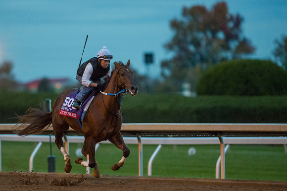 Holy Boss, trained by Steve Asmussen, trains in preparation for the Breeders' Cup Twin Spires Sprint (GI).