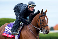 Ivan Fallunovalot, with Calvin Borel up, trained by W.T. (Tom) Howard, prepares for the Breeders' Cup Twin Spires Sprint at Keeneland Race Course.