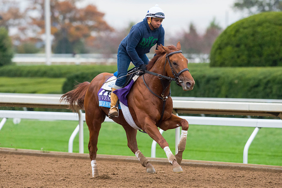Rated R Superstar, trained by Ken McPeek, trains on the main track in preparation for the Sentient Jet Breeders' Cup' Juvenile (GI)