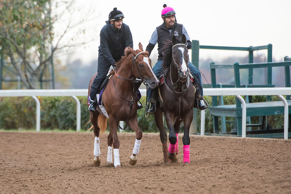 Jimmy Bouncer is ponied by Coach Lava Man, while jogging in preparation for the Breeders' Cup Turf Sprint.