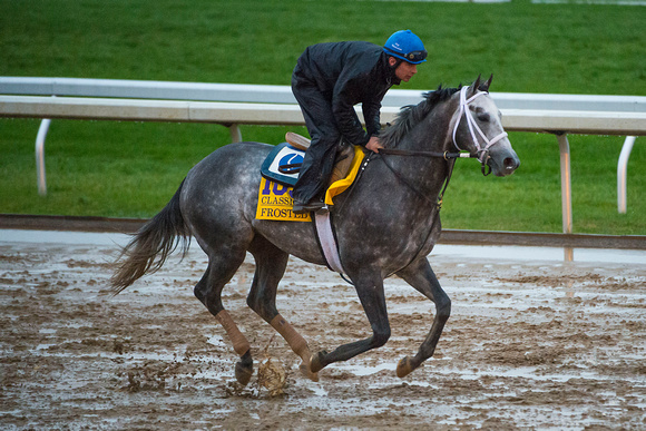 Frosted, trained by Kieran McLaughlin, gallops at Keeneland Race Course in preparation for the Breeders' Cup Classic (GI).