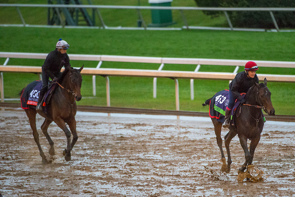 Impassable, entered for the Breeders Cup Mile (GI) and Bawina, entered for the Breeders' Cup Filly & Mare Turf (GI), trained by Carlos Laffon-Parias, train together at Keeneland Race Course.
