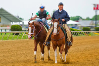 Will Take Charge (l) alongside trainer D. Wayne Lukas