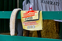 Orb's Preakness workout saddlecloth
